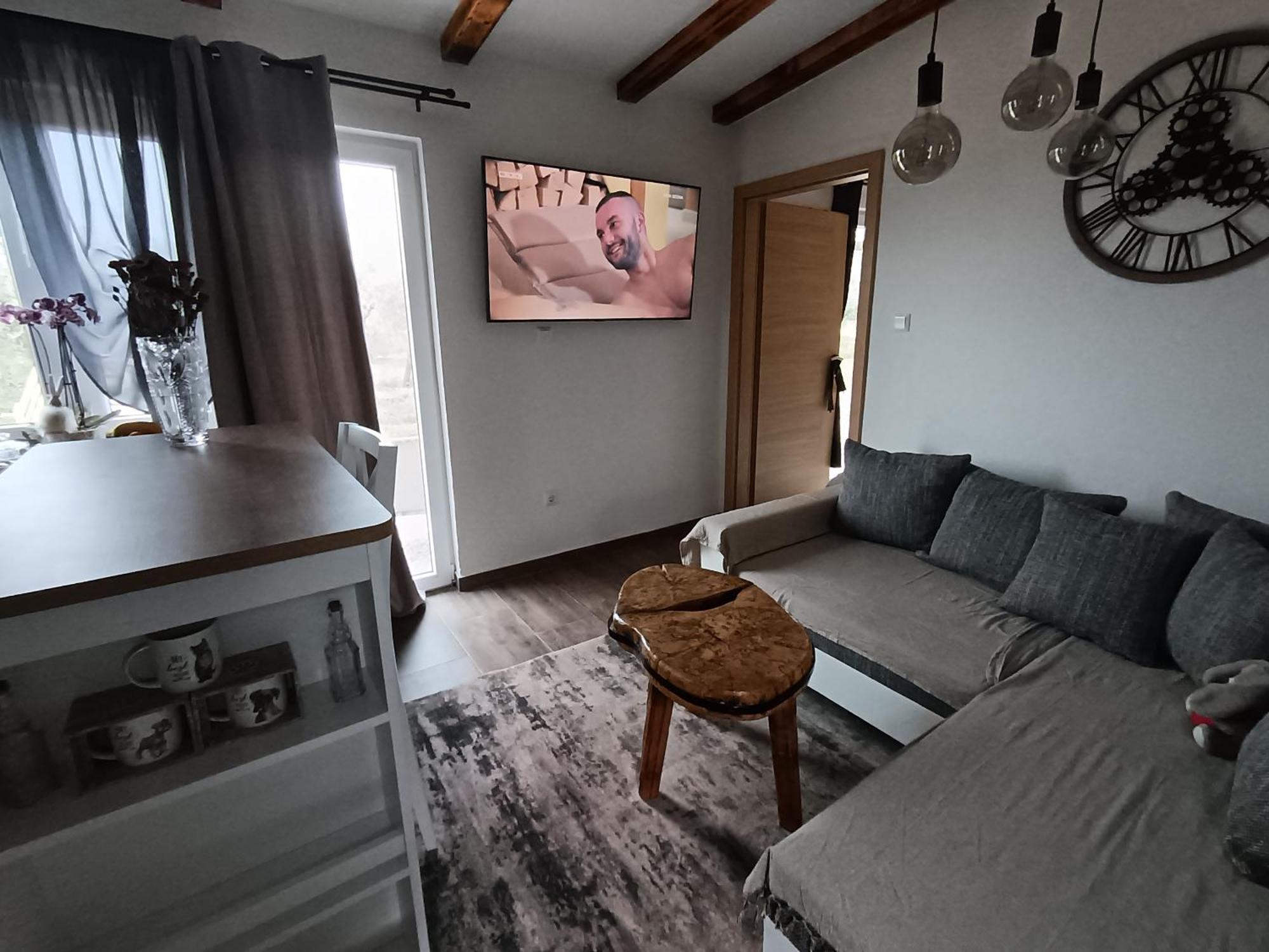 Apartament Cattleya Novigrad  Zewnętrze zdjęcie